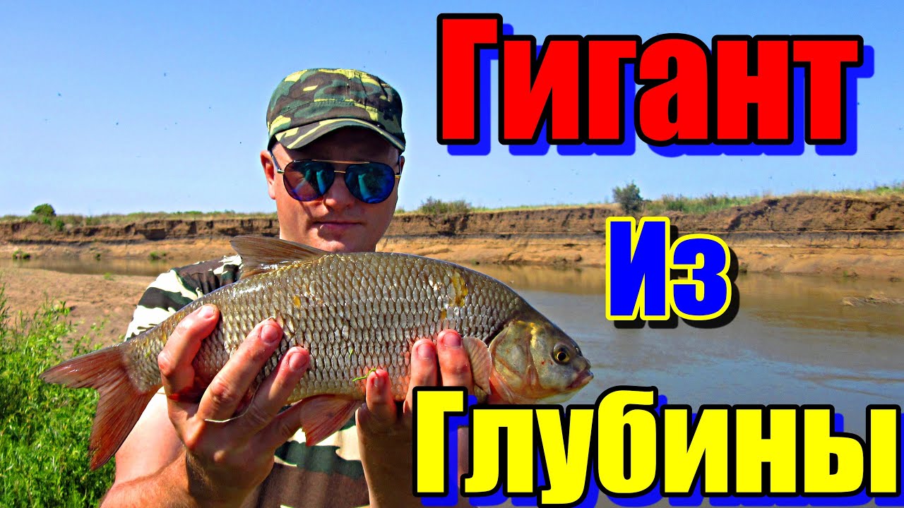 ГИГАНТ ИЗ ГЛУБИНЫ!!! РЕКА НУРА. РЫБАЛКА НА ДОНКИ. РЫБАЛКА В АСТАНЕ. # ...