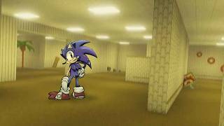 The Backrooms but Sonic