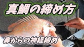 カワハギ釣り の後 最大限に 美味しく持ち帰る為に 締め方 保存 までの方法を紹介 Youtube