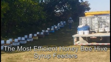The Best Bee Hive Syrup Feeders