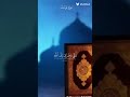 ٨ مارس ٢٠٢٤ ٨ مارس ٢٠٢٤