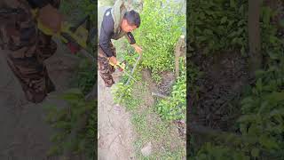 Ditch gas chainsaws! This battery-powered saw is light, safe, and handles all your cutting jobs!