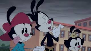 Animaniaca Yakko Fabulo Rebot De Like De Animaniacs 2020