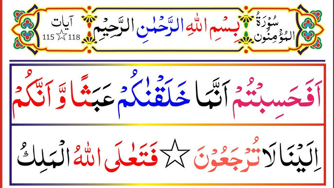 Orqa tomondan mushukning surati