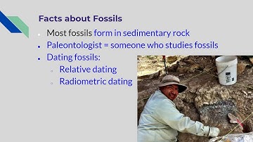 Fossil Record