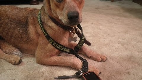 Geocaching Multi-cache