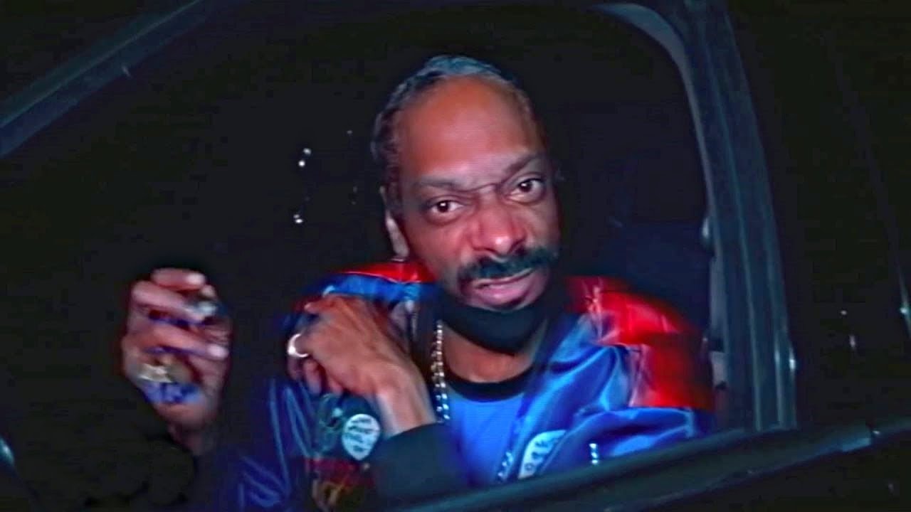 Snoop dogg gangsta zone