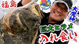 Giant flounder feeding frenzy [