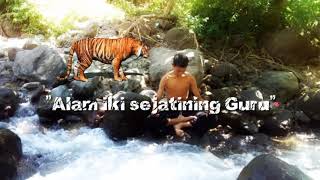 Story Wa Harimau jawa #fypシ #jowo #pencaksilat #berandayoutube