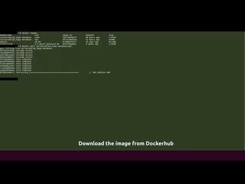Bug database of logical errors, download