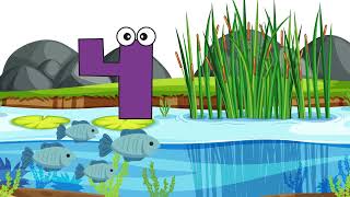 COUNTING NUMBERS AT THE POND