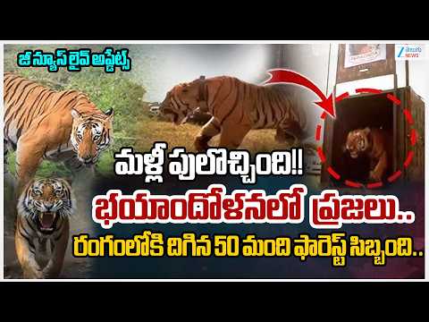 Tiger strays into Rampachodavaram in AP | Tiger Roaming in Polavaram District | Zee Telugu News - ZEE24TELUGUNEWS