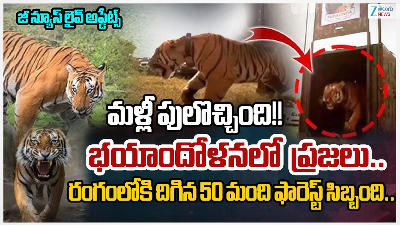 Tiger strays into Rampachodavaram in AP | Tiger Roaming in Polavaram District | Zee Telugu News