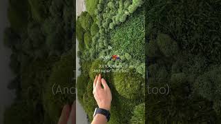 No fake moss here ❌ #biophilicdesign #interiordesign