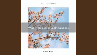 Trees Soft Songs for Best Nap screenshot 5