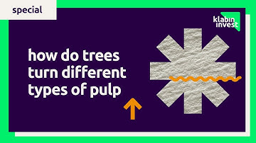 PULP: How do trees turn different types of pulp?
