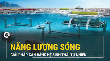 Năng lượng sóng: Giải pháp cân bằng hệ sinh thái tự nhiên | Truyền hình Quốc hội Việt Nam