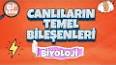 Sağlıklı Beslenme için 5 Temel Bileşen ile ilgili video