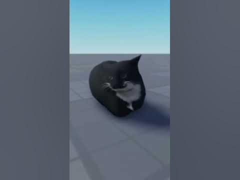Максвелл кот - YouTube