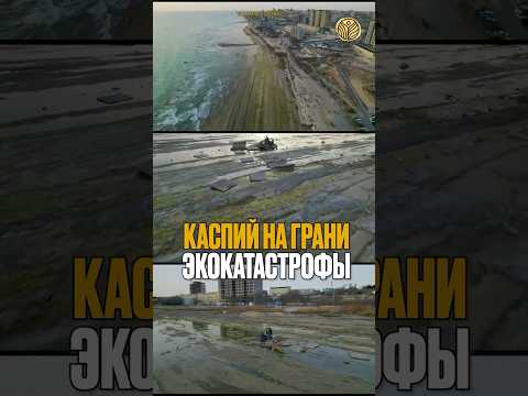 ⬆️жми по ссылке на полное видео | Каспий на грани экокатастрофы #экология #новости #озеро