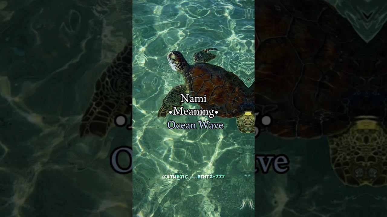 Japanese Nicknames with their meanings!!! 💌✨||