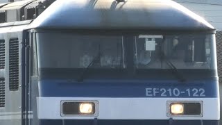 EF210-122 ECO-POWER桃太郎 新鶴見機関区