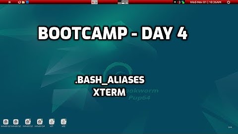 BookwormPup64 - bootcamp day 4: basics of how to setup a PuppyLinux