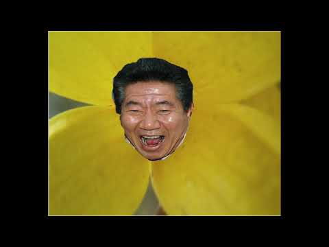 [MC무현] 盧까신(3학년) | 개나리 노란 꽃 그늘 아래♬