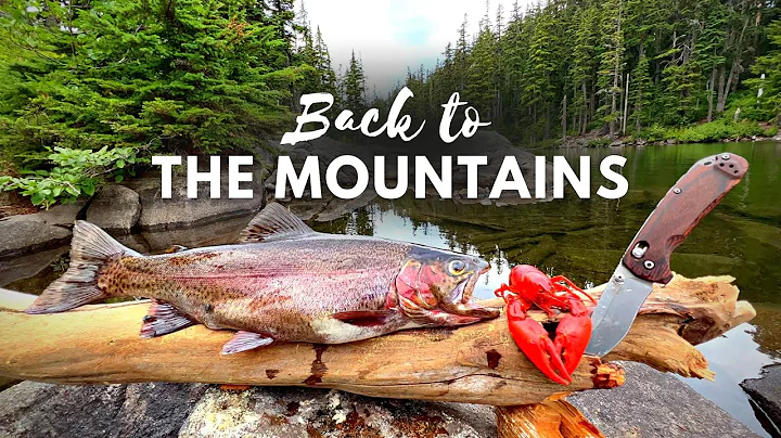 GIANT TROUT Fishing & SOLO Camping!!! (Catch & Cook Movie)