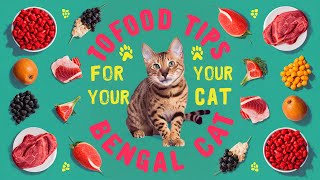 10 Food Tips for Your Bengal Cat