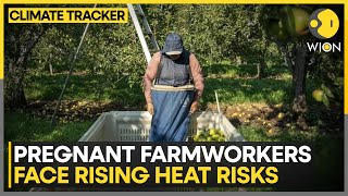 Climate Change: No Federal Heat Protections for Farmworkers | WION Climate Tracker