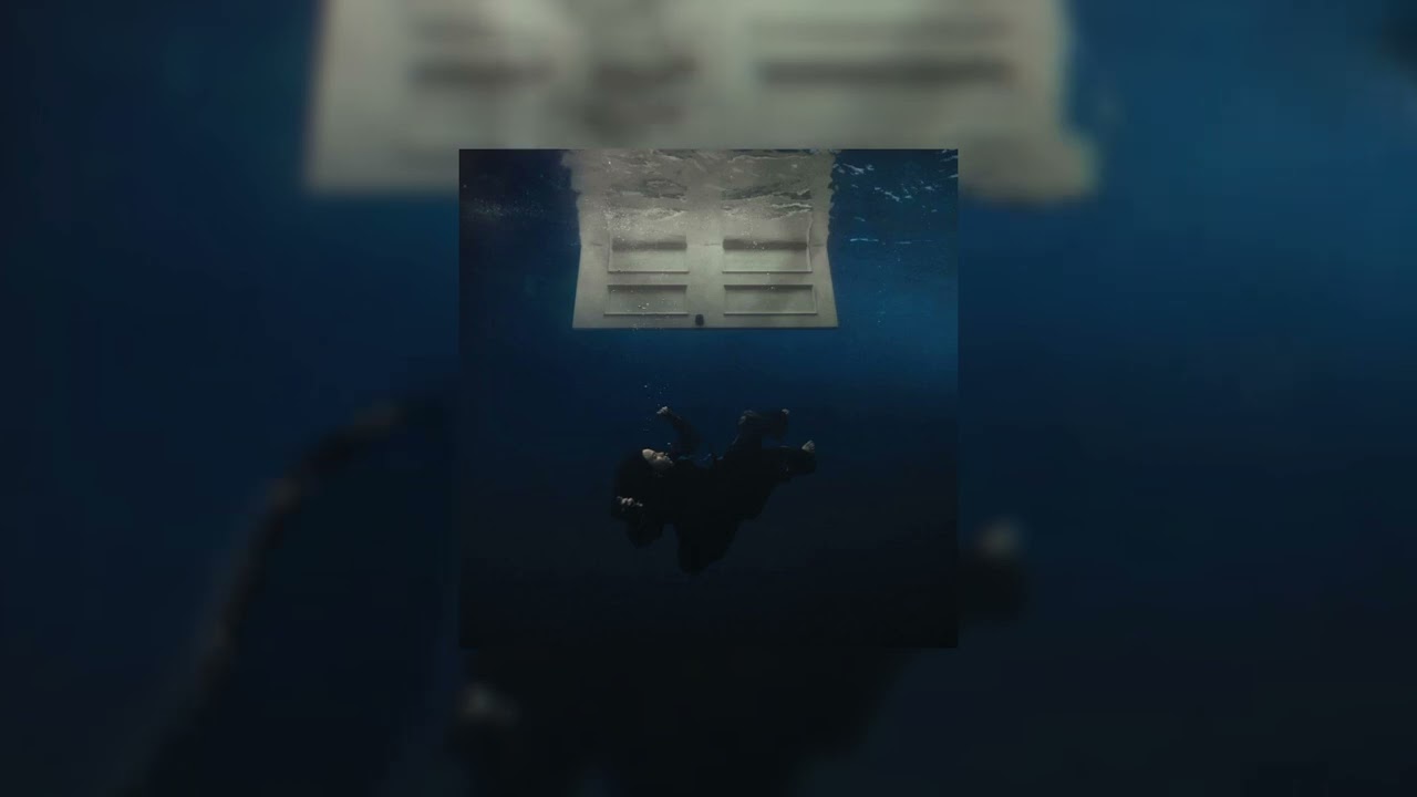 WILDFLOWERS (sped up)