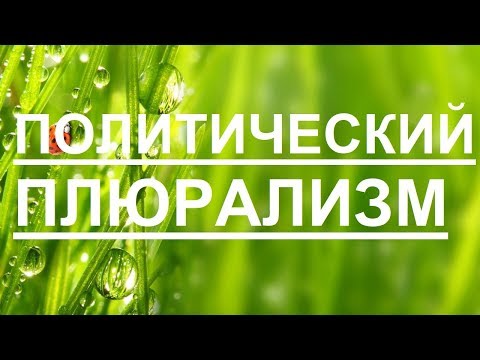 Политический плюрализм