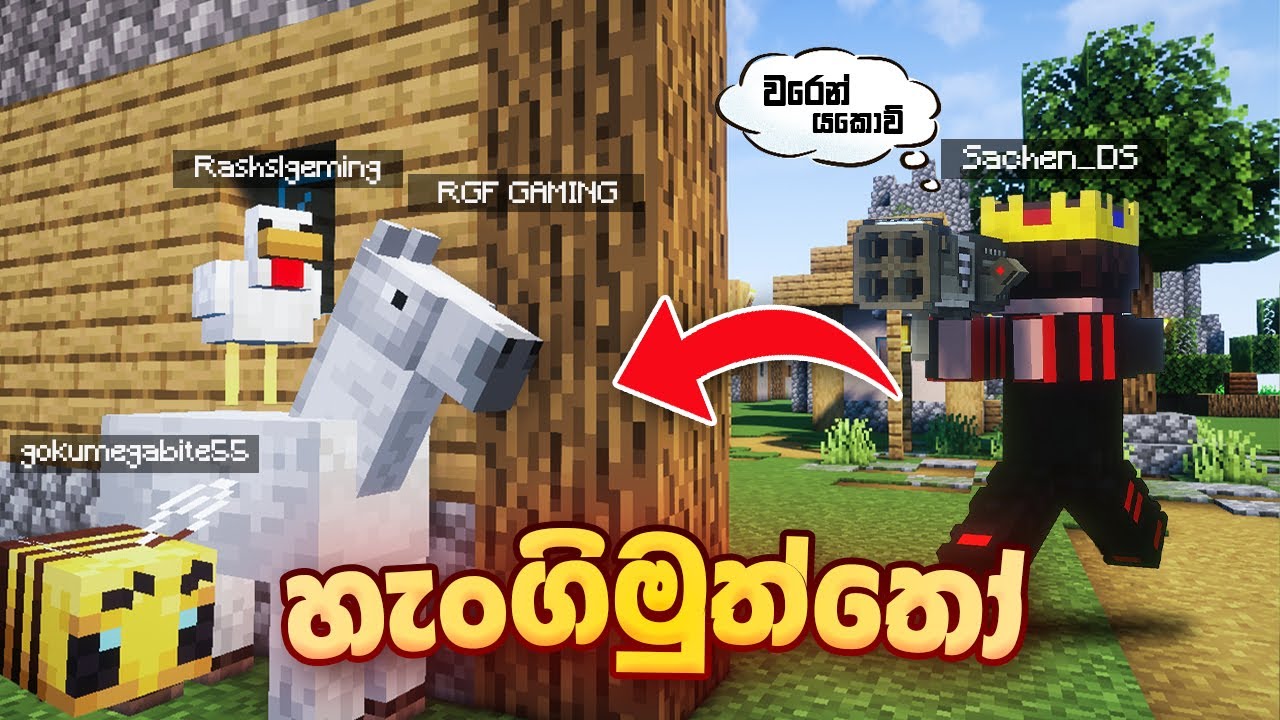 හැන්ගිමුත්තෝ  | Minecraft hide and seek but we can morph any mob
