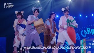 Hey! Say! JUMP - ペットショップラブモーション [Official Live Video] (知念, 中島, 髙木, 伊野尾) image