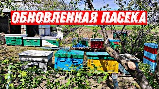 Состояние семей пчел на !!!