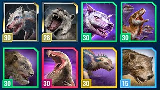 THE ALL MARSUPIAL LION TEAM vs NUBLAR SHORES 😅 (JURASSIC WORLD ALIVE)