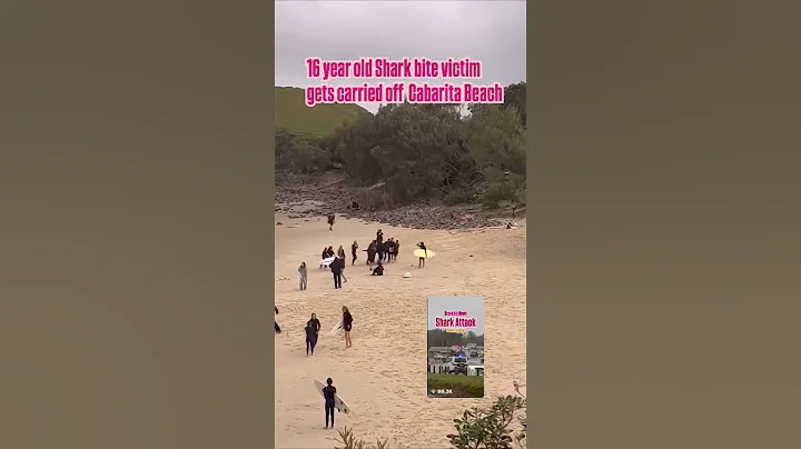 Moment brave bystanders drag teen from water after shark attack