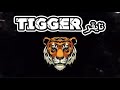 صويني تايقر TIGGER 