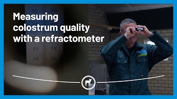 Measuring colostrum quality with a refractometer. Young stock specialist Johan explains how it works