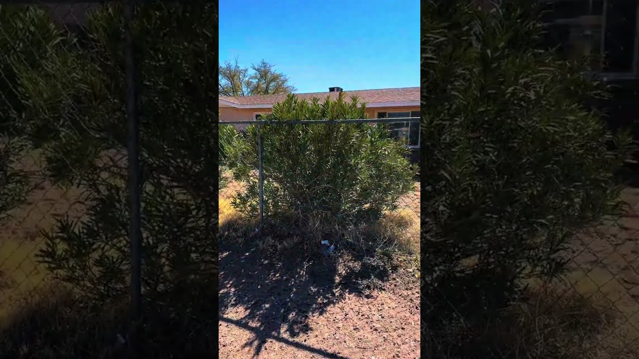 Half-Acre Lot | Las Cruces New Mexico Real Estate