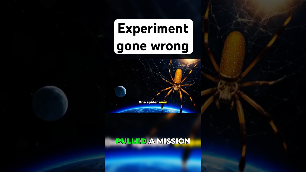 One Spider Tried to Escape the ISS 😰 