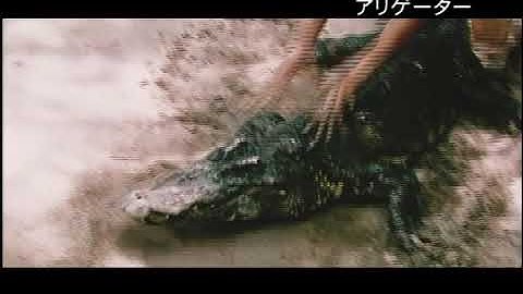 「アリゲーター 愛と復讐のワニ人間」予告
