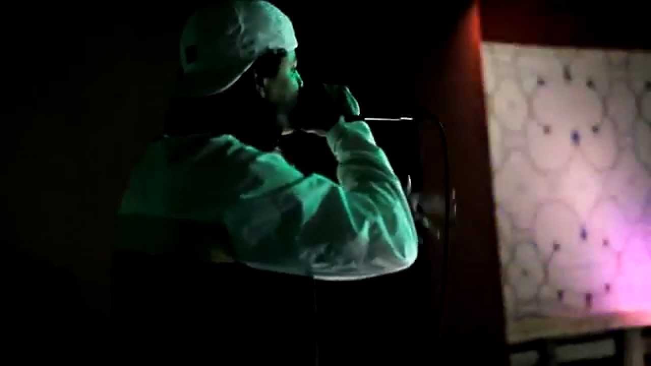 LIL SUPA - MENCION HONORIFICA en SALTA CRIOLLO - LIMA 2015