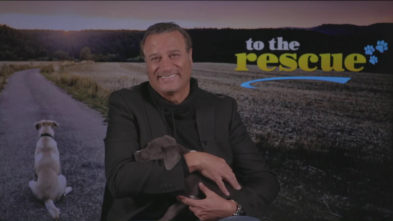 To The Rescue Best Friends Animal Society Encourage Pet Adoption Youtube