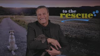 ‘To the Rescue,’ Best Friends Animal Society encourage pet adoption