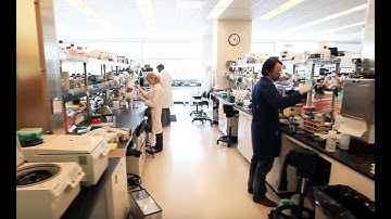 Biosciences SULI Interns & Mentors Share Their Experiences