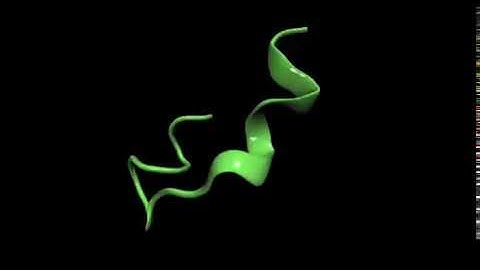 Folding process of a small peptide - Molecular Dynamics