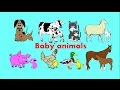 Baby Animals song for children