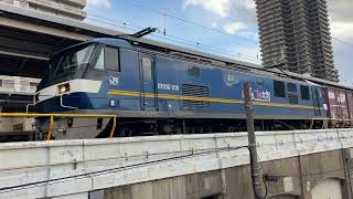 JR貨物　EF210-318号機 桃太郎＋コキ23両　86レ　兵庫にて